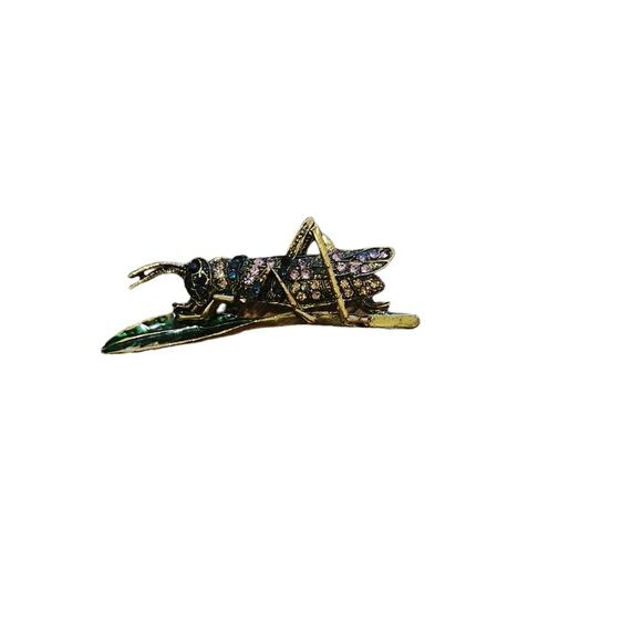Jeweled grasshopper brooch - Picture 1 of 3